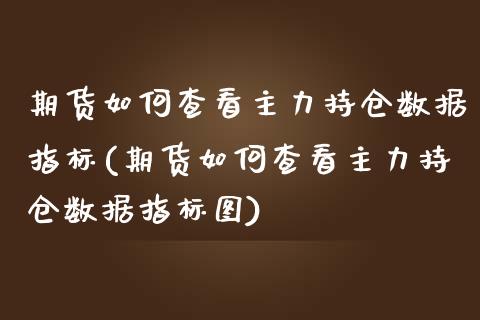 期货如何查看主力持仓数据指标(期货如何查看主力持仓数据指标图)_https://www.zztgc.com_黄金期货_第1张