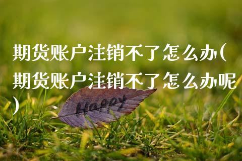 期货账户注销不了怎么办(期货账户注销不了怎么办呢)_期货入门_第1张_珍投期货网 期货账户注销不了怎么办(期货账户注销不了怎么办呢)_https://www.zztgc.com_期货入门_第1张