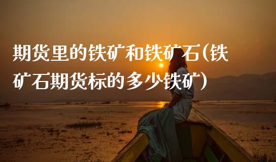 期货里的铁矿和铁矿石(铁矿石期货标的多少铁矿)_https://www.zztgc.com_期货直播_第1张