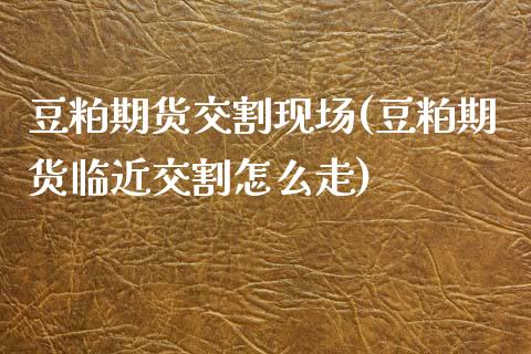 豆粕期货交割现场(豆粕期货临近交割怎么走)_https://www.zztgc.com_期货入门_第1张