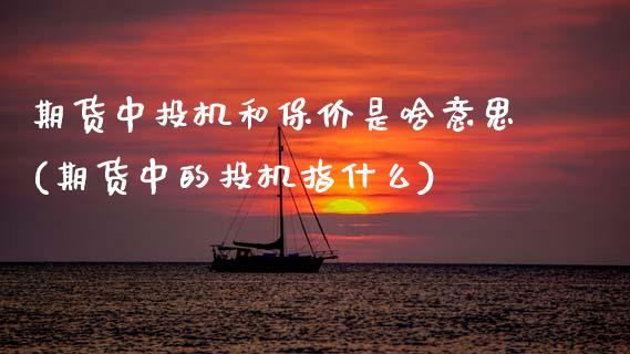 期货中投机和保价是啥意思(期货中的投机指什么)_https://www.zztgc.com_期货开户_第1张