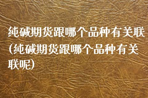 纯碱期货跟哪个品种有关联(纯碱期货跟哪个品种有关联呢)_https://www.zztgc.com_期货行情_第1张