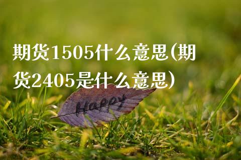 期货1505什么意思(期货2405是什么意思)_https://www.zztgc.com_期货入门_第1张