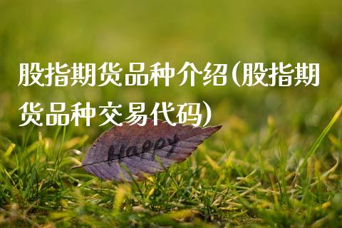 股指期货品种介绍(股指期货品种交易代码)_https://www.zztgc.com_期货直播_第1张