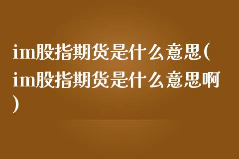 im股指期货是什么意思(im股指期货是什么意思啊)_期货入门_第1张_珍投期货网 im股指期货是什么意思(im股指期货是什么意思啊)_https://www.zztgc.com_期货入门_第1张