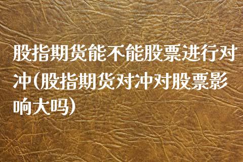 股指期货能不能股票进行对冲(股指期货对冲对股票影响大吗)_https://www.zztgc.com_黄金期货_第1张