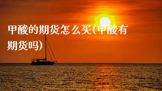 甲酸的期货怎么买(甲酸有期货吗)_https://www.zztgc.com_黄金期货_第1张