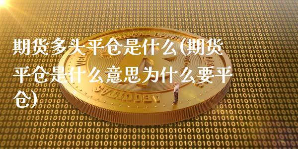 期货多头平仓是什么(期货平仓是什么意思为什么要平仓)_https://www.zztgc.com_期货直播_第1张