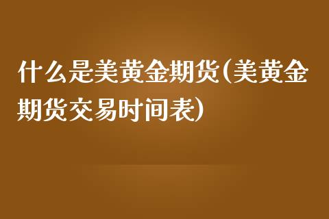 什么是美黄金期货(美黄金期货交易时间表)_https://www.zztgc.com_原油期货_第1张