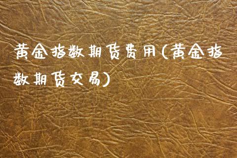 黄金指数期货费用(黄金指数期货交易)_https://www.zztgc.com_期货直播_第1张
