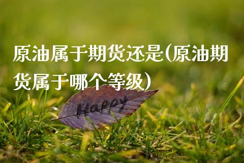 原油属于期货还是(原油期货属于哪个等级)_https://www.zztgc.com_期货入门_第1张