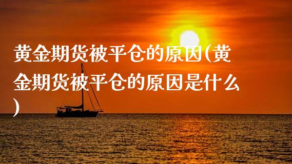 黄金期货被平仓的原因(黄金期货被平仓的原因是什么)_https://www.zztgc.com_期货入门_第1张