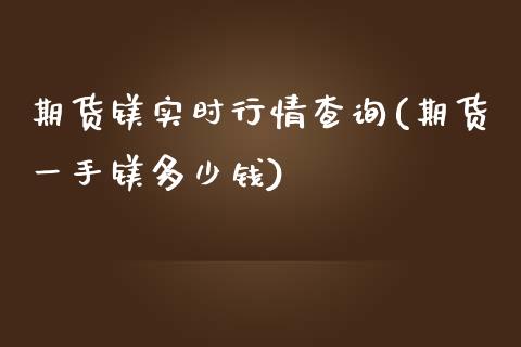 期货镁实时行情查询(期货一手镁多少钱)_https://www.zztgc.com_期货直播_第1张
