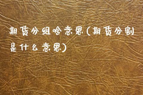 期货分组啥意思(期货分割是什么意思)_https://www.zztgc.com_期货入门_第1张