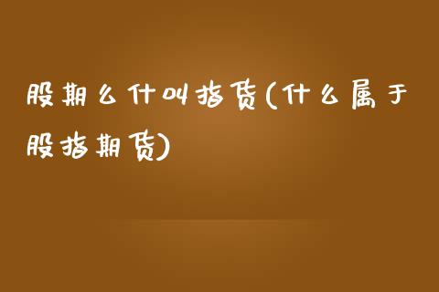 股期么什叫指货(什么属于股指期货)_https://www.zztgc.com_原油期货_第1张