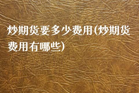 炒期货要多少费用(炒期货费用有哪些)_https://www.zztgc.com_期货行情_第1张