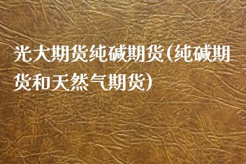 光大期货纯碱期货(纯碱期货和天然气期货)_https://www.zztgc.com_期货直播_第1张