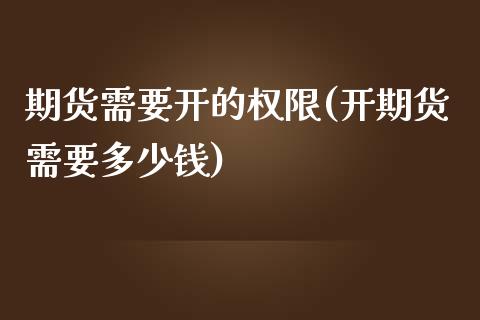 期货需要开的权限(开期货需要多少钱)_https://www.zztgc.com_期货行情_第1张