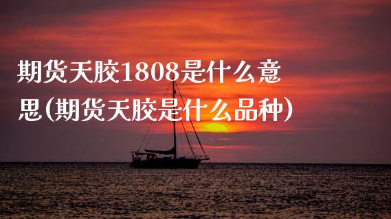 期货天胶1808是什么意思(期货天胶是什么品种)_https://www.zztgc.com_期货直播_第1张