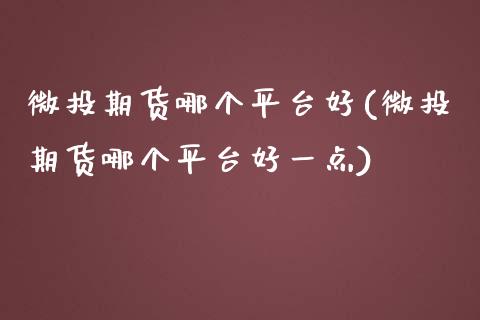 微投期货哪个平台好(微投期货哪个平台好一点)_https://www.zztgc.com_黄金期货_第1张