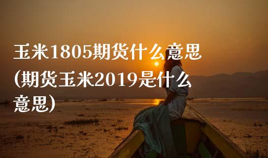 玉米1805期货什么意思(期货玉米2019是什么意思)_https://www.zztgc.com_期货入门_第1张