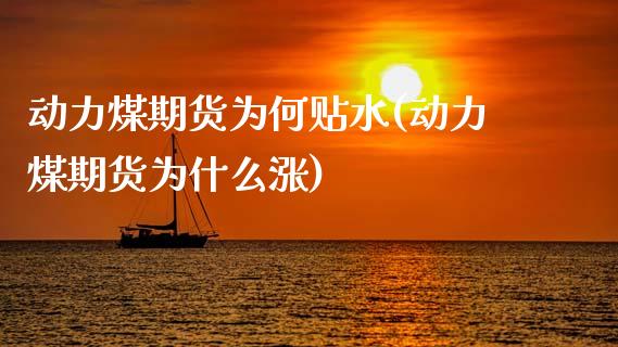 动力煤期货为何贴水(动力煤期货为什么涨)_https://www.zztgc.com_期货行情_第1张