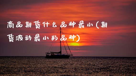 商品期货什么品种最小(期货波动最小的品种)_https://www.zztgc.com_期货开户_第1张