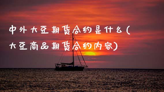 中外大豆期货合约是什么(大豆商品期货合约内容)_https://www.zztgc.com_期货入门_第1张
