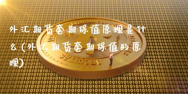 外汇期货套期保值原理是什么(外汇期货套期保值的原理)_https://www.zztgc.com_期货入门_第1张
