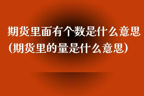 期货里面有个数是什么意思(期货里的量是什么意思)_https://www.zztgc.com_原油期货_第1张