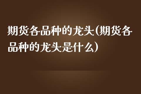 期货各品种的龙头(期货各品种的龙头是什么)_https://www.zztgc.com_期货入门_第1张