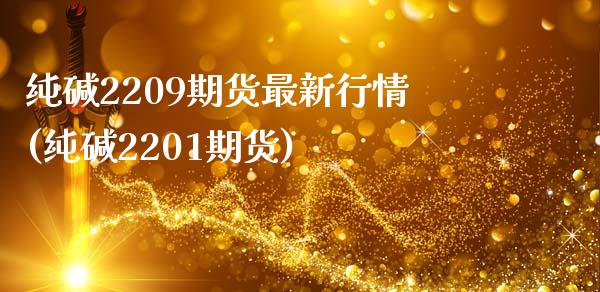 纯碱2209期货最新行情(纯碱2201期货)_https://www.zztgc.com_原油期货_第1张