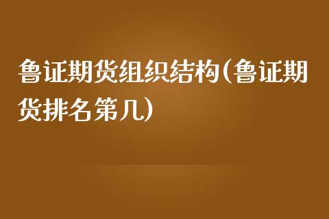 鲁证期货组织结构(鲁证期货排名第几)_https://www.zztgc.com_黄金期货_第1张