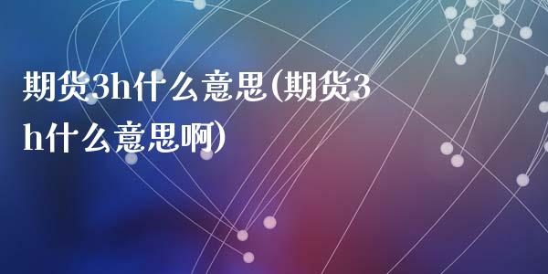 期货3h什么意思(期货3h什么意思啊)_https://www.zztgc.com_期货行情_第1张