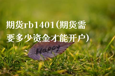 期货rb1401(期货需要多少资金才能开户)_https://www.zztgc.com_期货行情_第1张