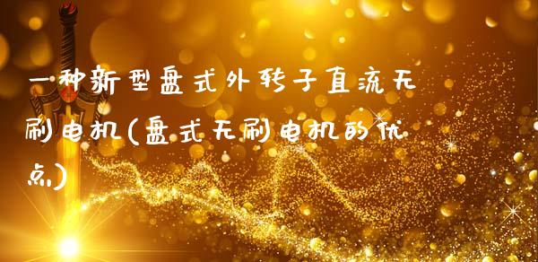 一种新型盘式外转子直流无刷电机(盘式无刷电机的优点)_https://www.zztgc.com_黄金期货_第1张