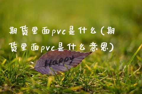 期货里面pvc是什么(期货里面pvc是什么意思)_https://www.zztgc.com_原油期货_第1张