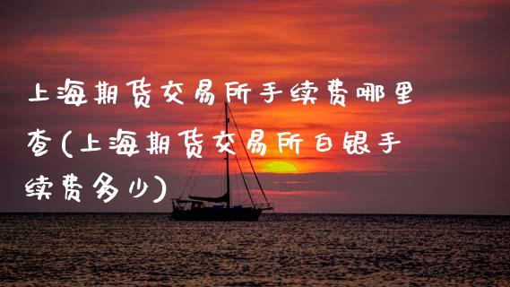 上海期货交易所手续费哪里查(上海期货交易所白银手续费多少)_https://www.zztgc.com_期货直播_第1张