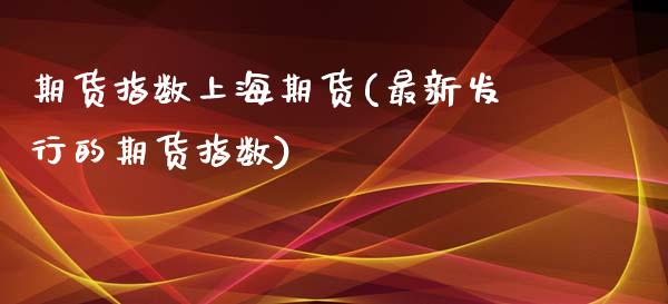 期货指数上海期货(最新发行的期货指数)_https://www.zztgc.com_原油期货_第1张