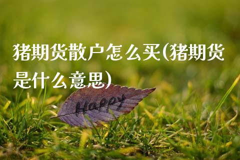 猪期货散户怎么买(猪期货是什么意思)_https://www.zztgc.com_期货入门_第1张