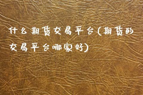 什么期货交易平台(期货的交易平台哪家好)_https://www.zztgc.com_期货直播_第1张