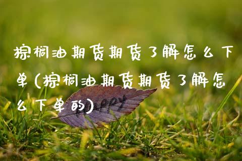 棕榈油期货期货了解怎么下单(棕榈油期货期货了解怎么下单的)_https://www.zztgc.com_期货直播_第1张