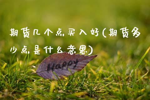 期货几个点买入好(期货多少点是什么意思)_https://www.zztgc.com_期货行情_第1张