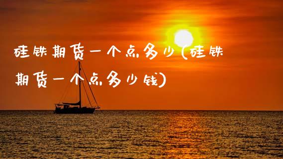 硅铁期货一个点多少(硅铁期货一个点多少钱)_https://www.zztgc.com_期货入门_第1张