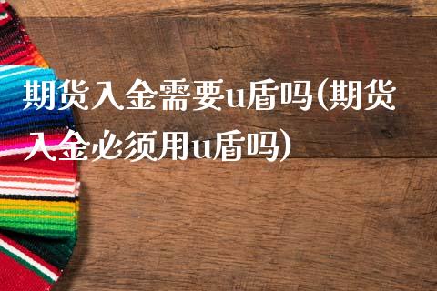期货入金需要u盾吗(期货入金必须用u盾吗)_https://www.zztgc.com_期货开户_第1张