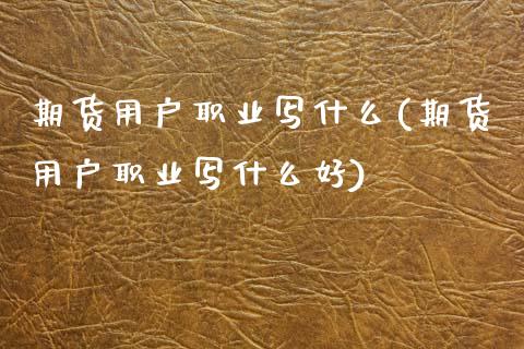 期货用户职业写什么(期货用户职业写什么好)_https://www.zztgc.com_期货入门_第1张