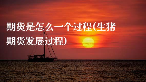 期货是怎么一个过程(生猪期货发展过程)_https://www.zztgc.com_期货行情_第1张