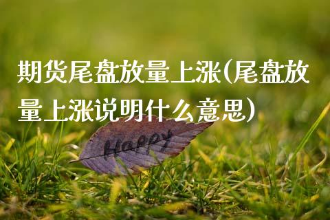 期货尾盘放量上涨(尾盘放量上涨说明什么意思)_https://www.zztgc.com_黄金期货_第1张