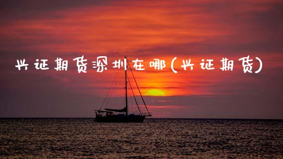 兴证期货深圳在哪(兴证期货)_https://www.zztgc.com_黄金期货_第1张