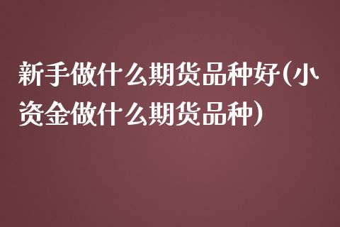 新手做什么期货品种好(小资金做什么期货品种)_https://www.zztgc.com_期货行情_第1张